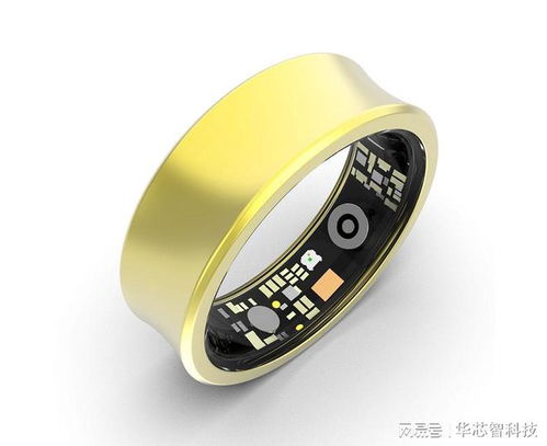 智能健康監(jiān)測(cè)戒指選購(gòu)指南 專業(yè)品牌深度解析